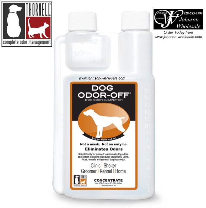 How To Get Dog Odor Out Of House