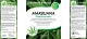 Marijuana and Smoke Odor Eliminator Concentrate 4/1 gal case