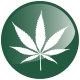 Odorcide 210M Marijuana Odor Control Concentrate
